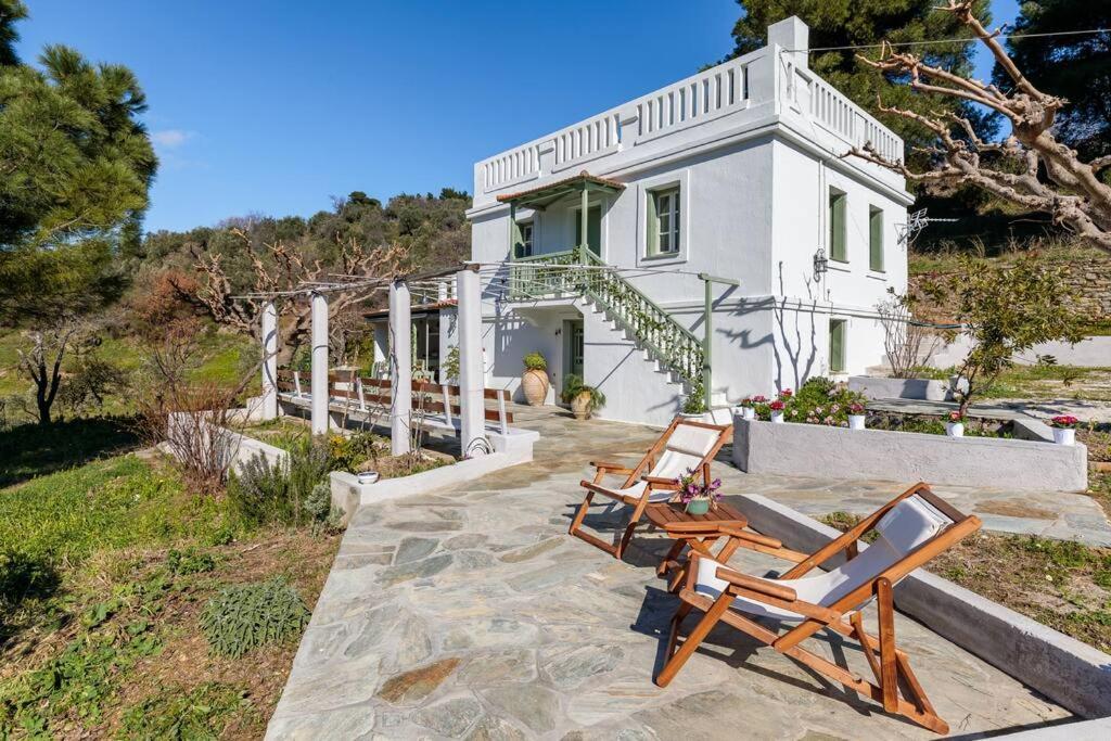 Villa Ambeli Skopelos Town Bagian luar foto