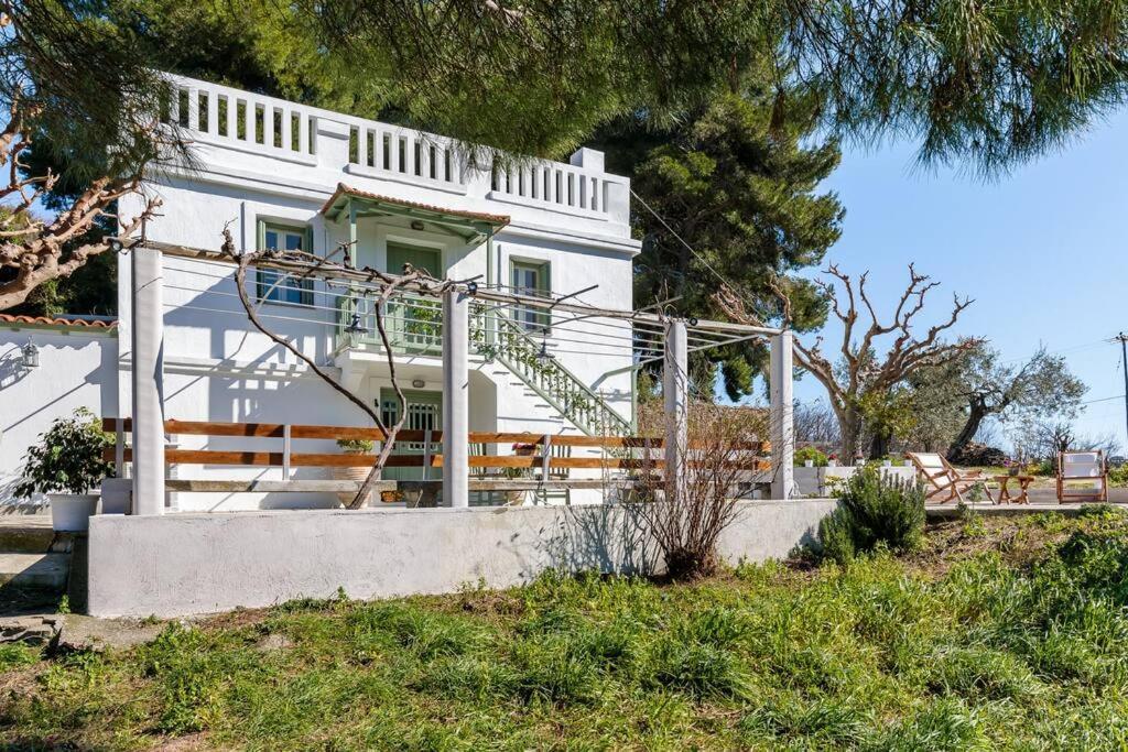 Villa Ambeli Skopelos Town Bagian luar foto
