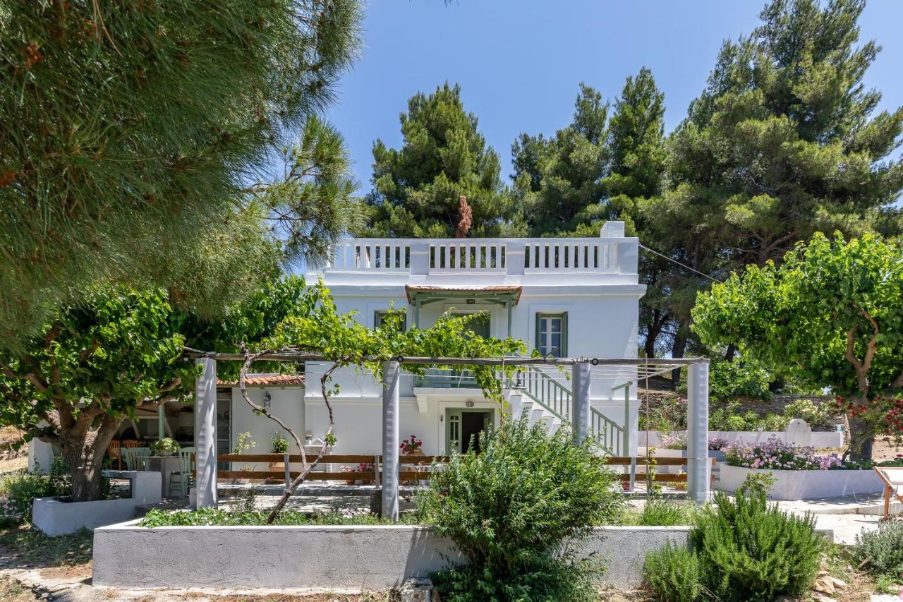 Villa Ambeli Skopelos Town Bagian luar foto